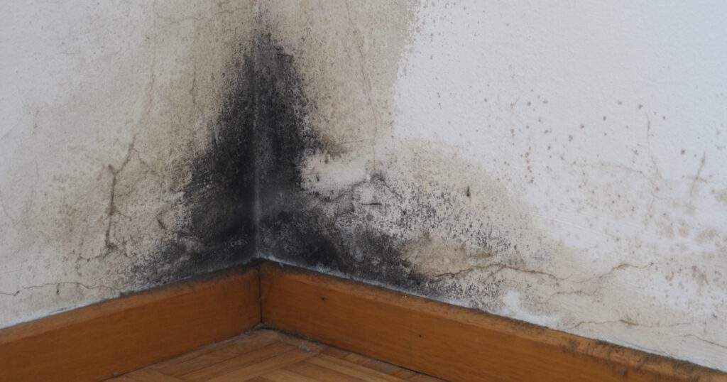 Schimmel op de muren wijst vaak op een vochtprobleem in de kruipruimte.
