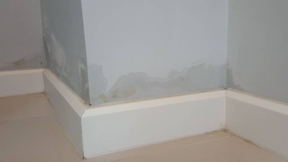 opstijgend vocht bij de plinten van een woning