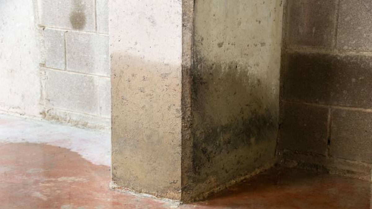 De muur van een garage dat heel vochtig is.