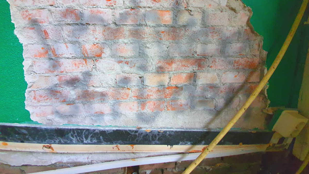 groene muur met de tekst vochtbestrijden erop