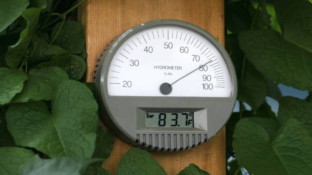 Met een hygrometer kun je de actuele luchtvochtigheid meten.