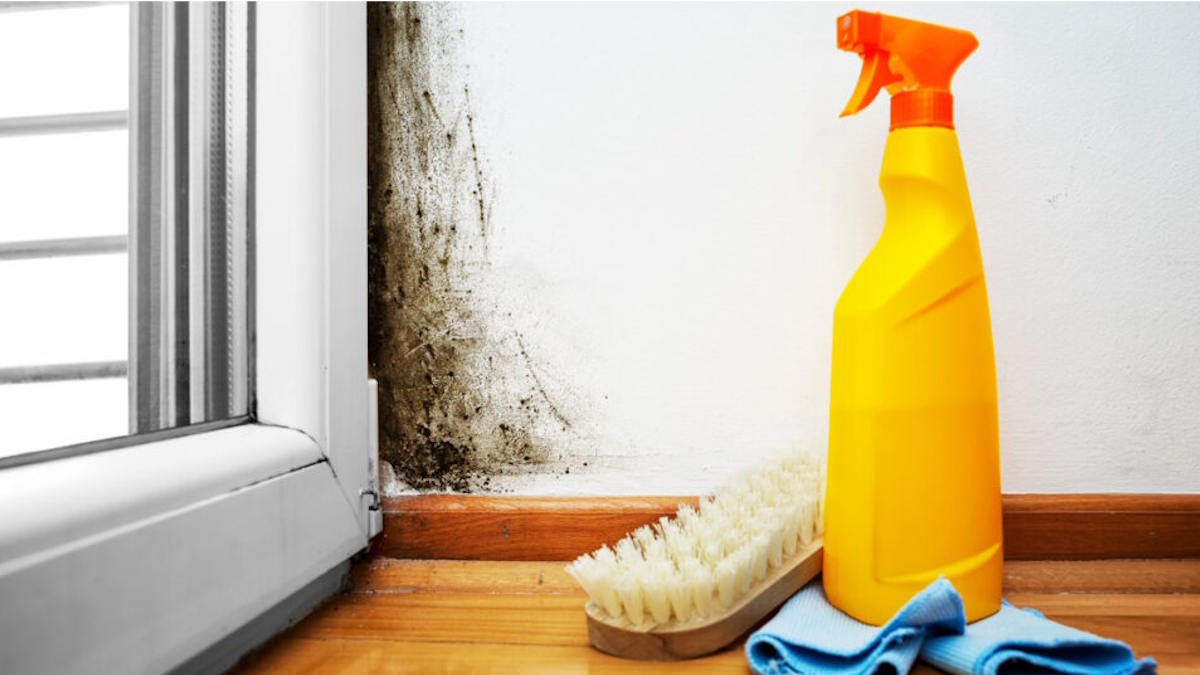 rode schimmel verwijderen