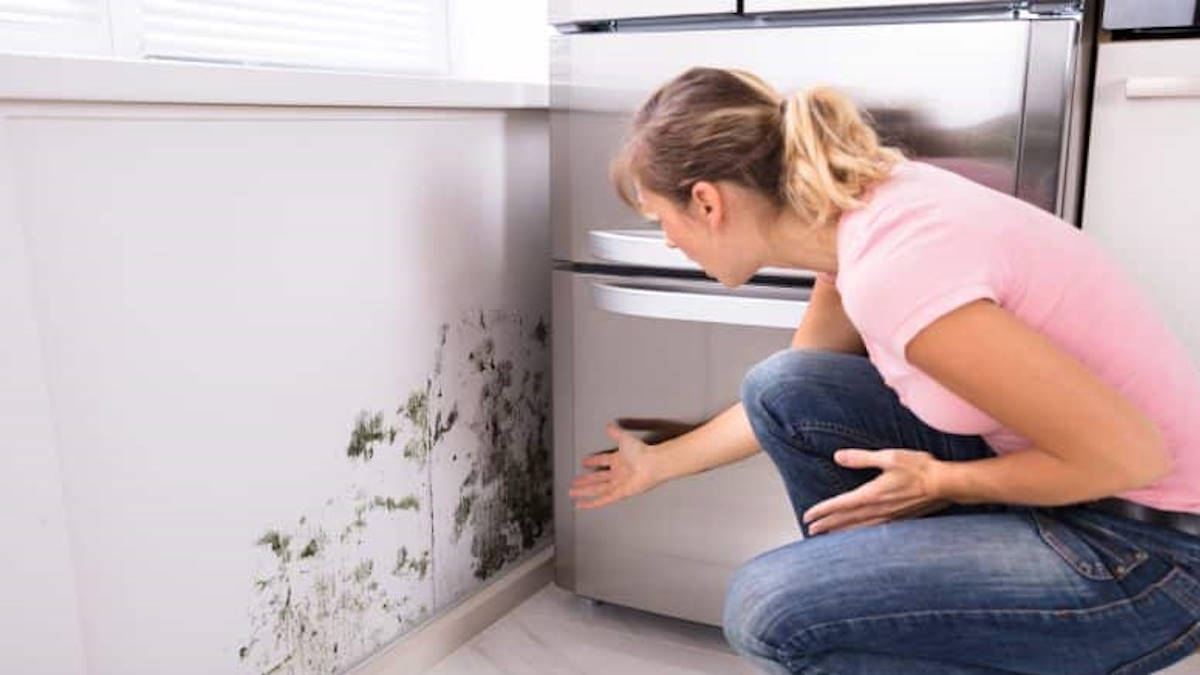 schimmelplek op de muur in de keuken