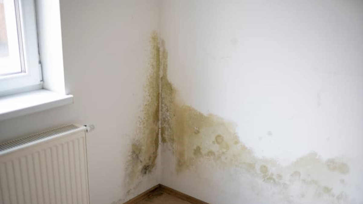 Vochtplekken in een hoek van een muur